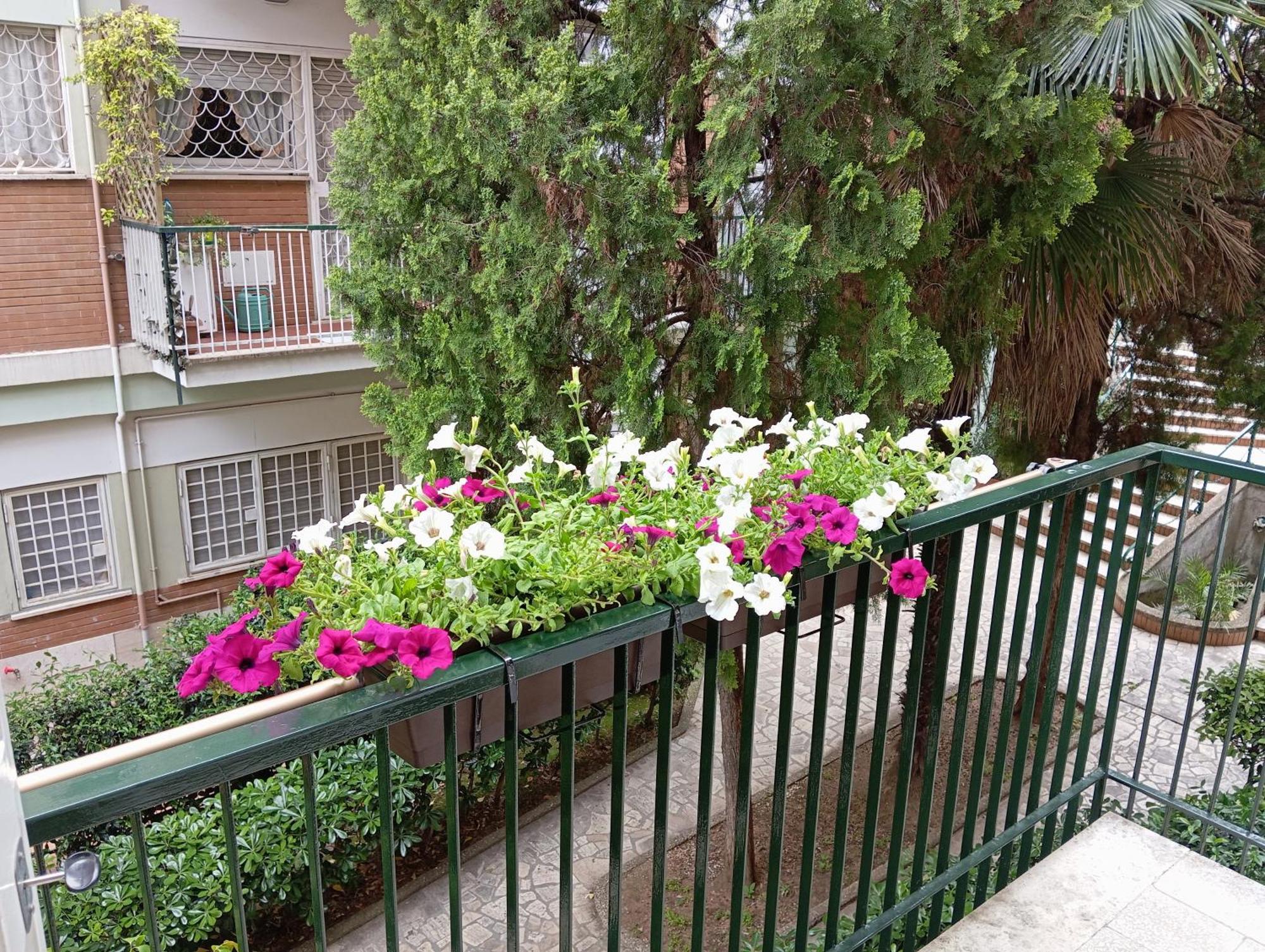 Gemelli - Borgia Apartment *